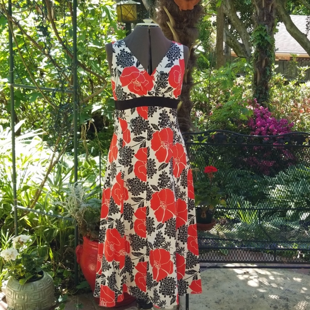 NWT Jonathan Martin Gorgeous Dress